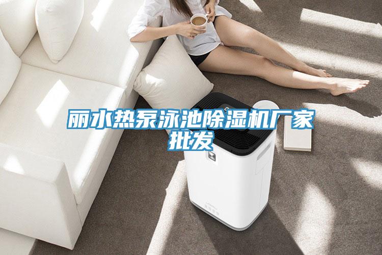麗水熱泵泳池除濕機廠家批發(fā)