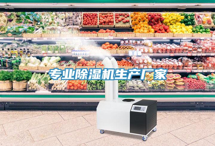 專業(yè)除濕機(jī)生產(chǎn)廠家