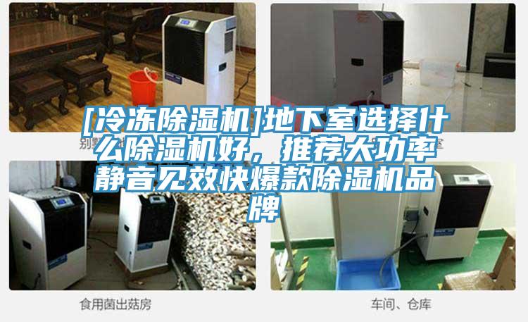 [冷凍除濕機(jī)]地下室選擇什么除濕機(jī)好，推薦大功率靜音見效快爆款除濕機(jī)品牌