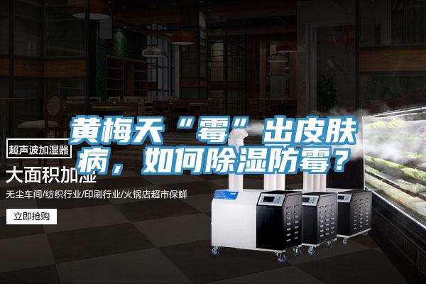 黃梅天“霉”出皮膚病，如何除濕防霉？
