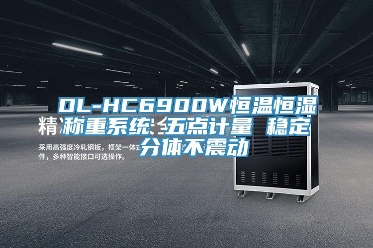 DL-HC6900W恒溫恒濕稱重系統(tǒng) 五點計量 穩(wěn)定 分體不震動