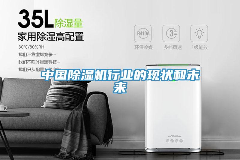 中國(guó)除濕機(jī)行業(yè)的現(xiàn)狀和未來