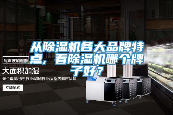 從除濕機(jī)各大品牌特點(diǎn), 看除濕機(jī)哪個(gè)牌子好？