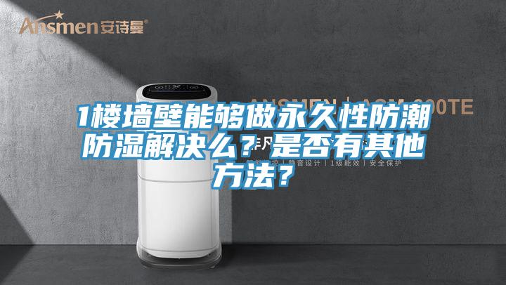 1樓墻壁能夠做永久性防潮防濕解決么？是否有其他方法？