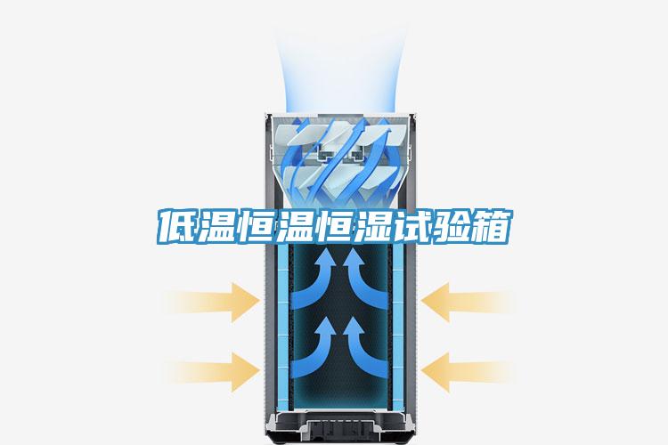 低溫恒溫恒濕試驗箱