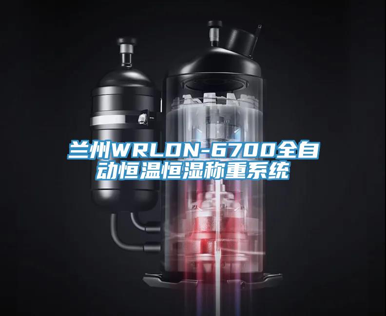 蘭州WRLDN-6700全自動(dòng)恒溫恒濕稱重系統(tǒng)