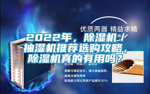 2022年，除濕機／抽濕機推薦選購攻略，除濕機真的有用嗎？