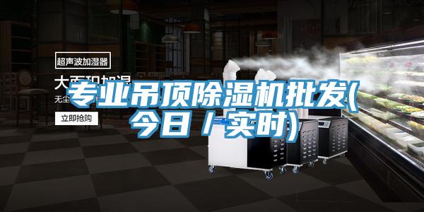 專業(yè)吊頂除濕機(jī)批發(fā)(今日／實(shí)時)