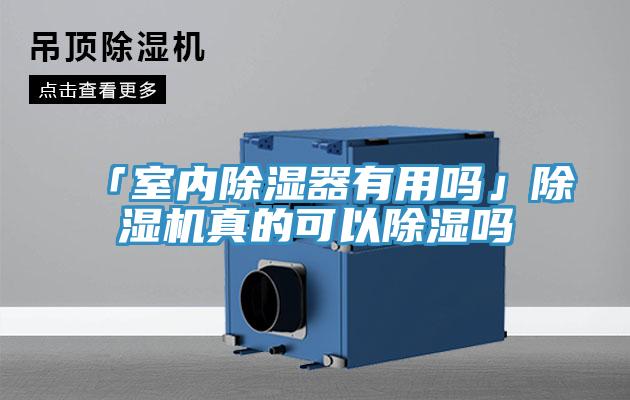 「室內(nèi)除濕器有用嗎」除濕機(jī)真的可以除濕嗎