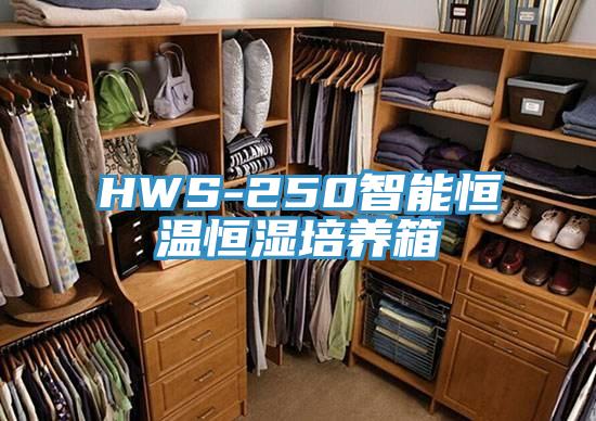 HWS-250智能恒溫恒濕培養(yǎng)箱