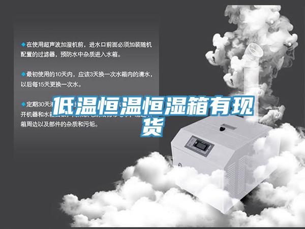 低溫恒溫恒濕箱有現(xiàn)貨