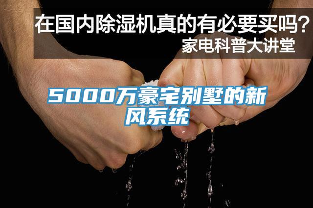 5000萬(wàn)豪宅別墅的新風(fēng)系統(tǒng)