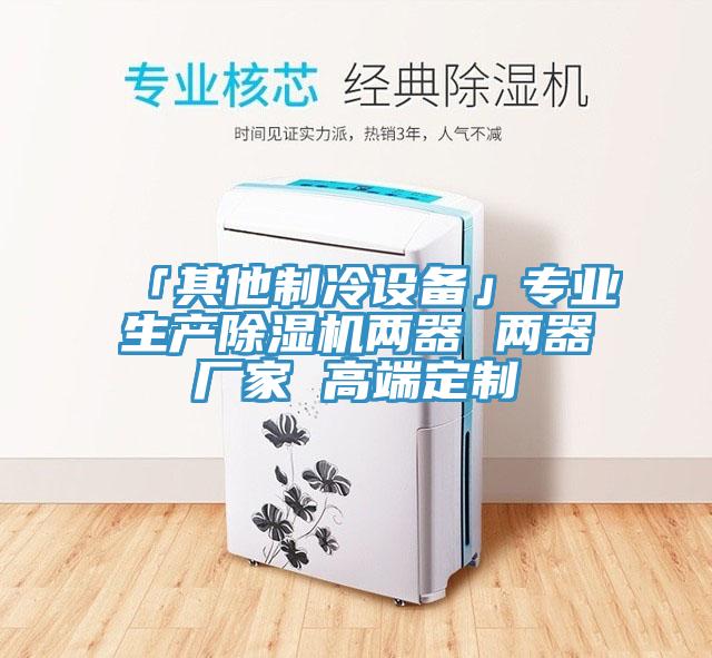「其他制冷設備」專業(yè)生產除濕機兩器 兩器廠家 高端定制