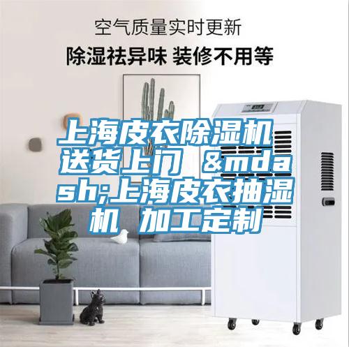 上海皮衣除濕機(jī) 送貨上門(mén) —上海皮衣抽濕機(jī) 加工定制