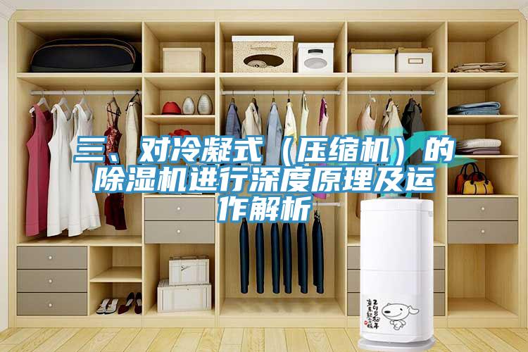 三、對冷凝式（壓縮機(jī)）的除濕機(jī)進(jìn)行深度原理及運作解析