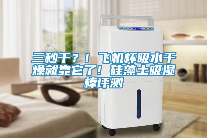 三秒干？! 飛機(jī)杯吸水干燥就靠它了! 硅藻土吸濕棒評測