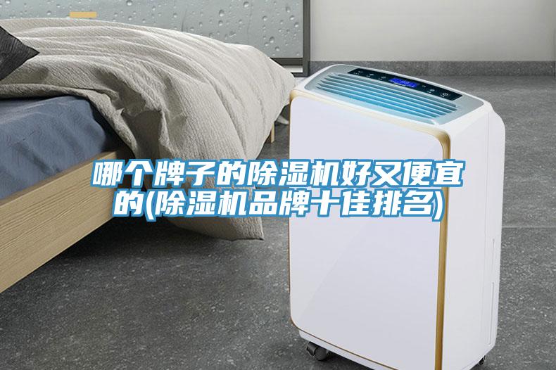 哪個牌子的除濕機好又便宜的(除濕機品牌十佳排名)