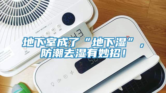 地下室成了“地下濕”，防潮去濕有妙招！