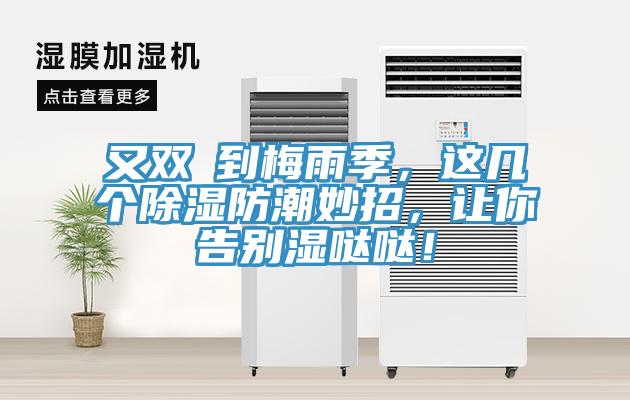 又雙叒到梅雨季，這幾個(gè)除濕防潮妙招，讓你告別濕噠噠！