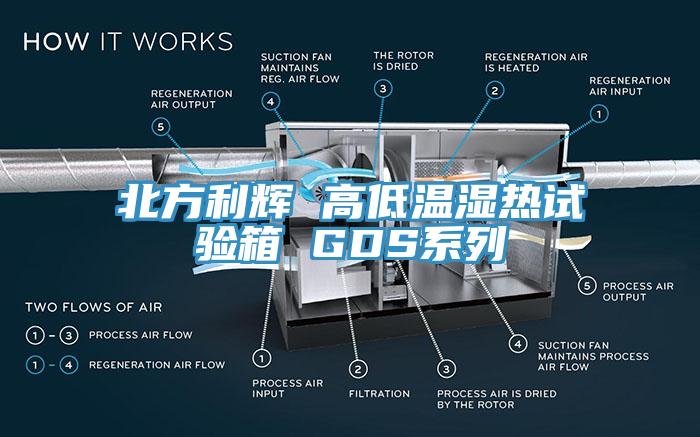 北方利輝 高低溫濕熱試驗箱 GDS系列
