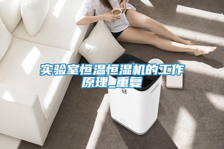 實驗室恒溫恒濕機的工作原理_重復