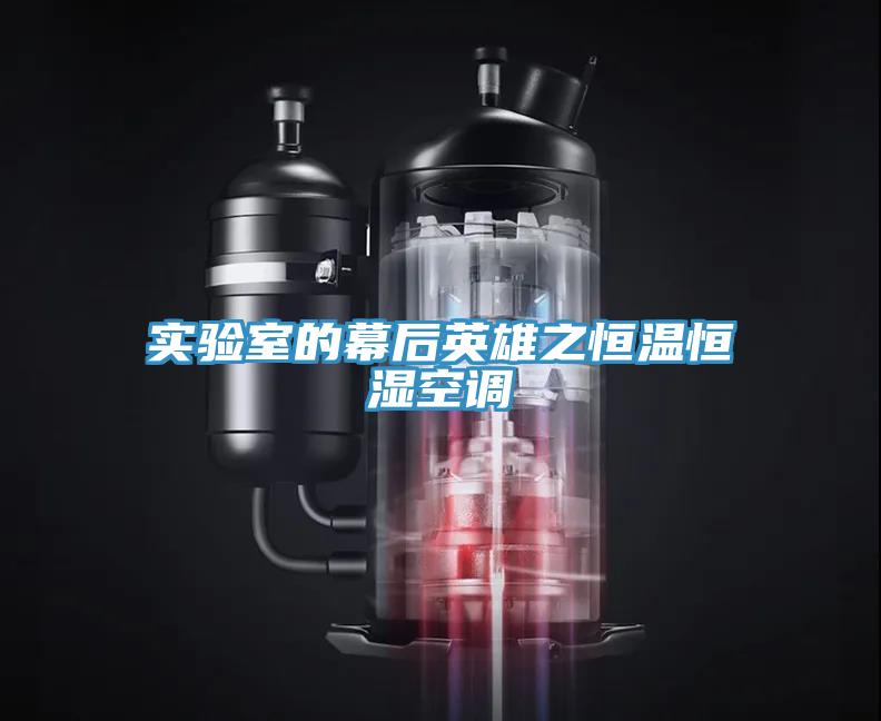 實(shí)驗(yàn)室的幕后英雄之恒溫恒濕空調(diào)