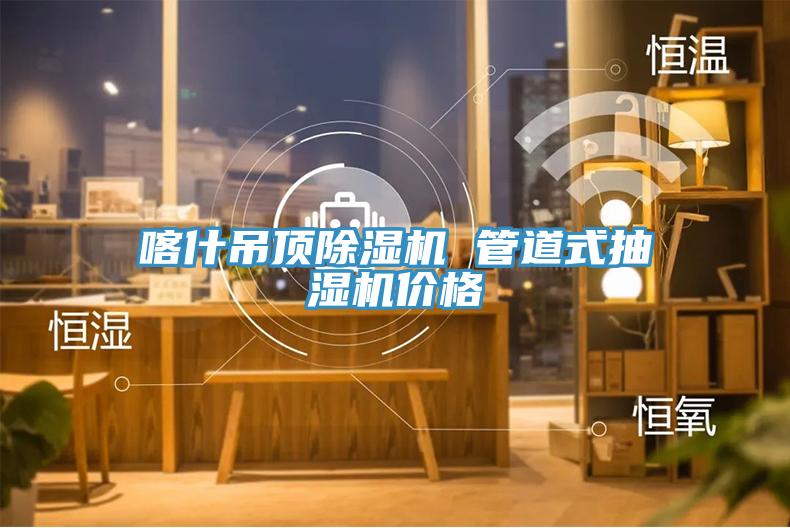 喀什吊頂除濕機(jī) 管道式抽濕機(jī)價(jià)格