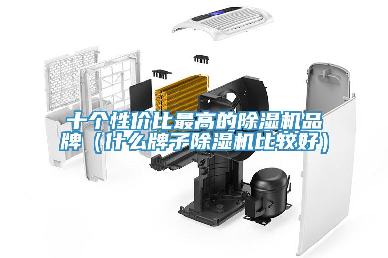 十個(gè)性價(jià)比最高的除濕機(jī)品牌（什么牌子除濕機(jī)比較好）