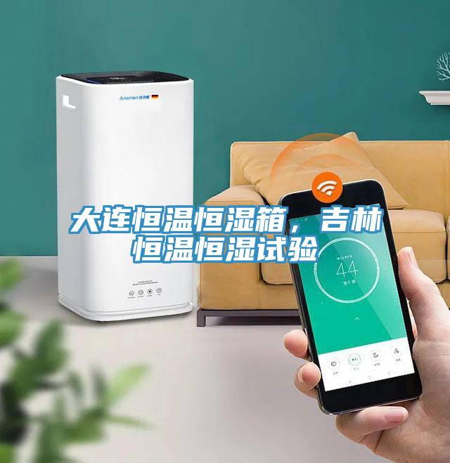 大連恒溫恒濕箱，吉林恒溫恒濕試驗(yàn)