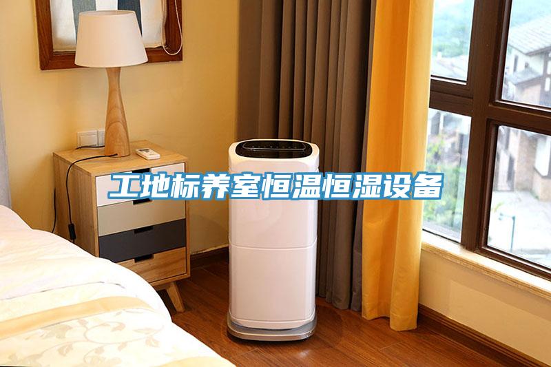 工地標(biāo)養(yǎng)室恒溫恒濕設(shè)備