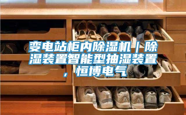 變電站柜內(nèi)除濕機｜除濕裝置智能型抽濕裝置，恒博電氣