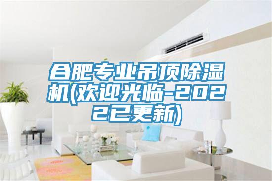 合肥專(zhuān)業(yè)吊頂除濕機(jī)(歡迎光臨-2022已更新)