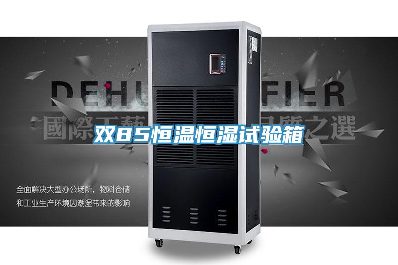 雙85恒溫恒濕試驗(yàn)箱