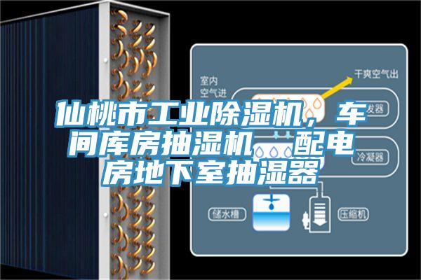 仙桃市工業(yè)除濕機(jī)，車間庫(kù)房抽濕機(jī)  配電房地下室抽濕器