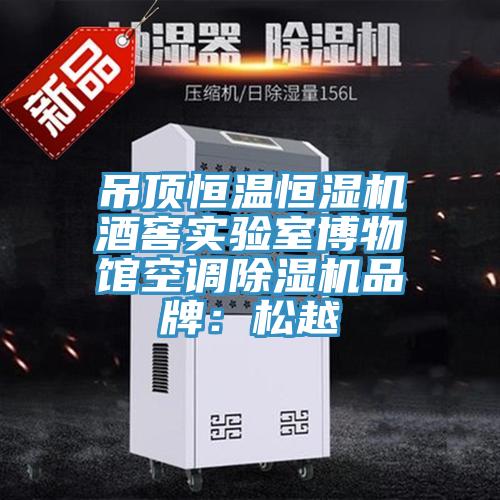 吊頂恒溫恒濕機(jī)酒窖實(shí)驗(yàn)室博物館空調(diào)除濕機(jī)品牌：松越