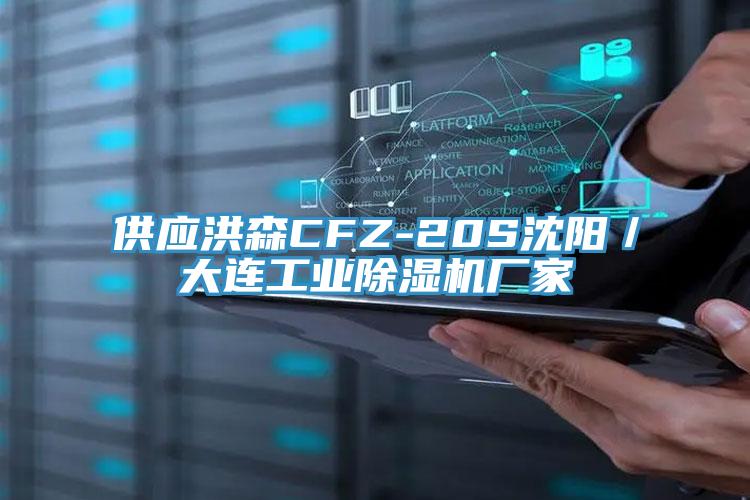 供應(yīng)洪森CFZ-20S沈陽(yáng)／大連工業(yè)除濕機(jī)廠家
