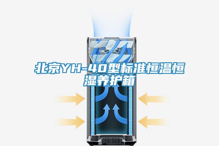 北京YH-40型標(biāo)準(zhǔn)恒溫恒濕養(yǎng)護箱