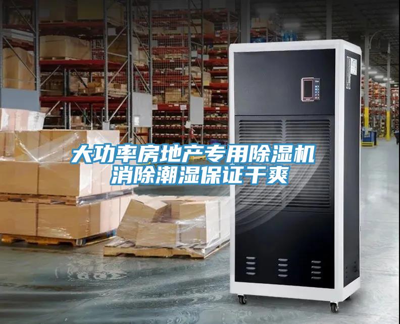 大功率房地產(chǎn)專用除濕機(jī) 消除潮濕保證干爽