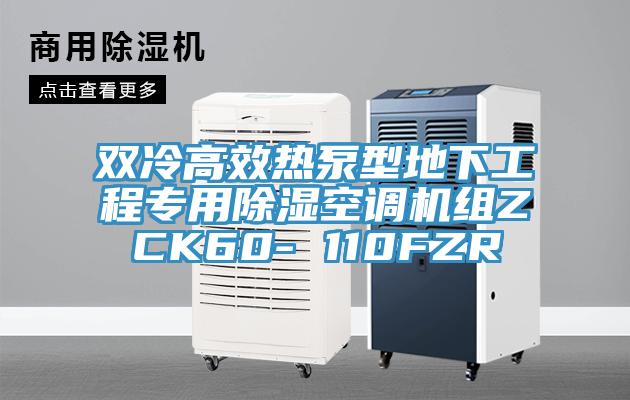 雙冷高效熱泵型地下工程專用除濕空調(diào)機(jī)組ZCK60- 110FZR
