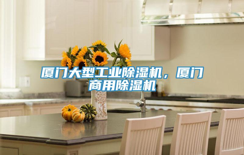 廈門大型工業(yè)除濕機，廈門商用除濕機