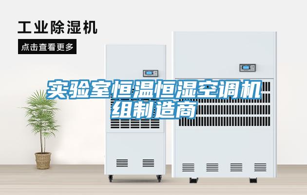 實(shí)驗(yàn)室恒溫恒濕空調(diào)機(jī)組制造商