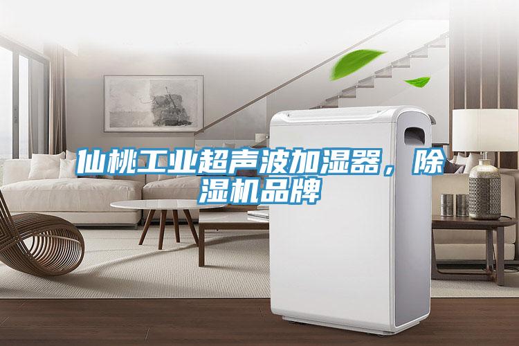 仙桃工業(yè)超聲波加濕器，除濕機品牌