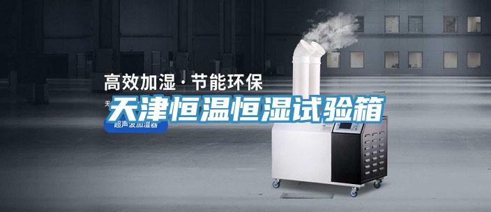 天津恒溫恒濕試驗(yàn)箱