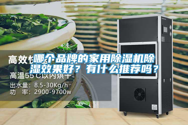 哪個(gè)品牌的家用除濕機(jī)除濕效果好？有什么推薦嗎？
