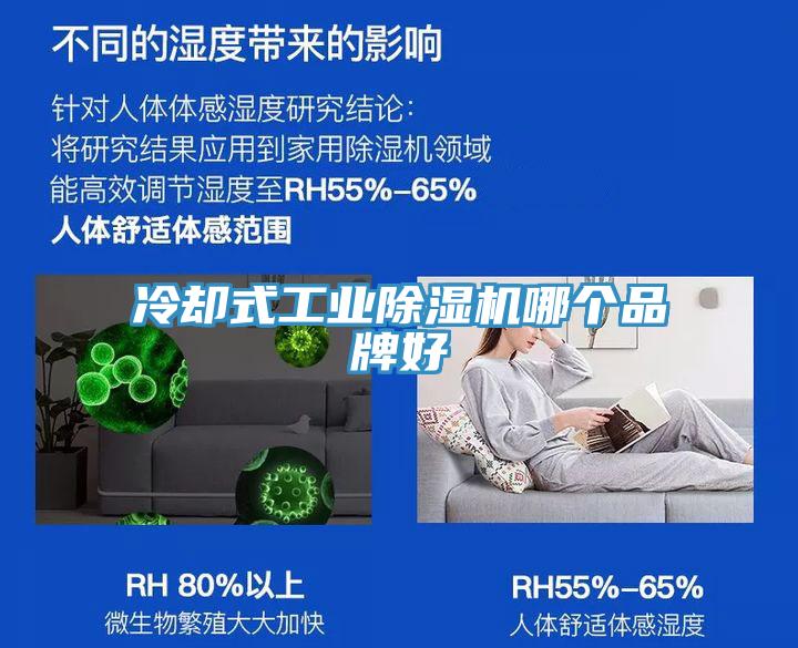 冷卻式工業(yè)除濕機(jī)哪個品牌好