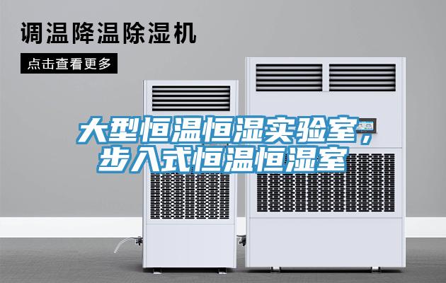 大型恒溫恒濕實(shí)驗(yàn)室，步入式恒溫恒濕室
