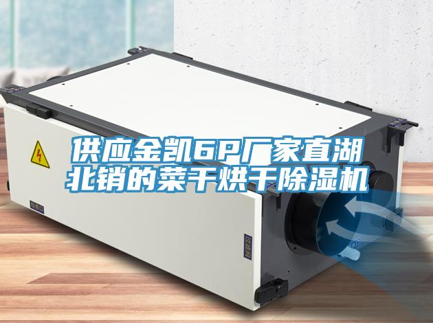 供應(yīng)金凱6P廠家直湖北銷(xiāo)的菜干烘干除濕機(jī)