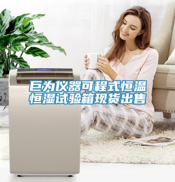 巨為儀器可程式恒溫恒濕試驗(yàn)箱現(xiàn)貨出售