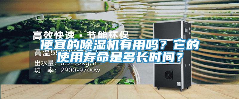 便宜的除濕機有用嗎？它的使用壽命是多長時間？