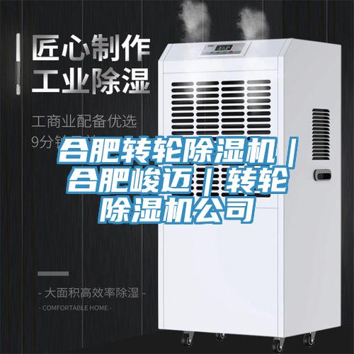 合肥轉(zhuǎn)輪除濕機｜合肥峻邁｜轉(zhuǎn)輪除濕機公司